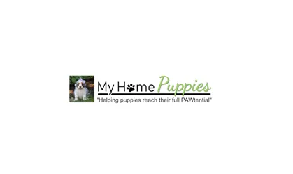 Professional Puppy Training: Building Good Habits and Confidence