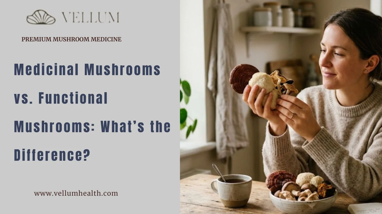 The Complete Guide to Functional Mushrooms: Benefits, Types, and Everyday Uses