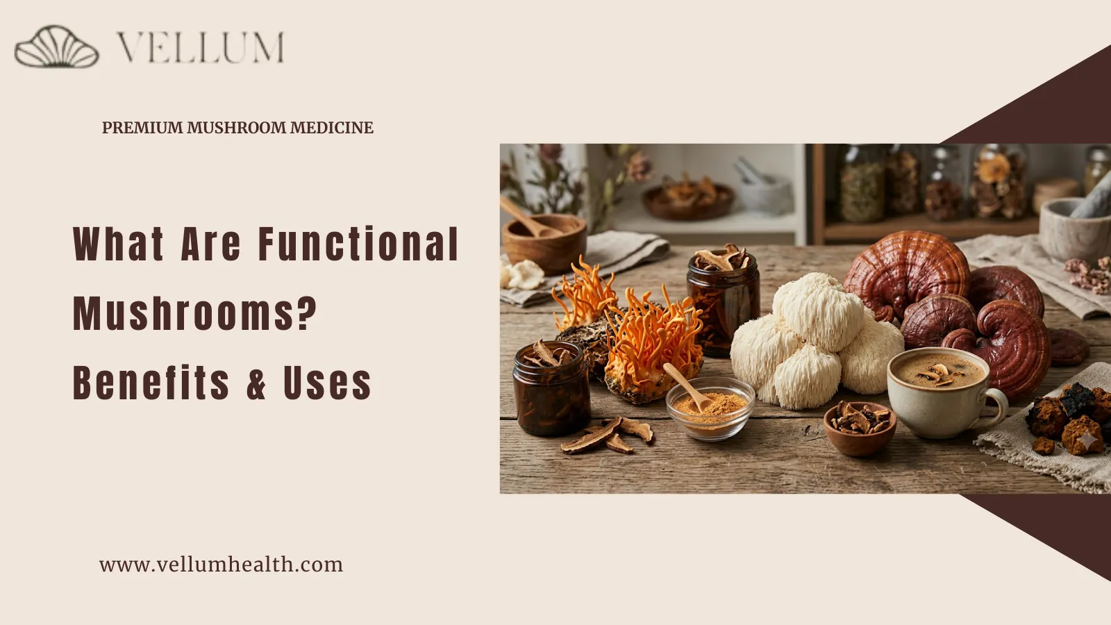 The Complete Guide to Functional Mushrooms: Benefits, Types, and Everyday Uses