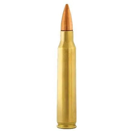 Common Questions About 223 Remington 55gr FMJ Ammo Answered