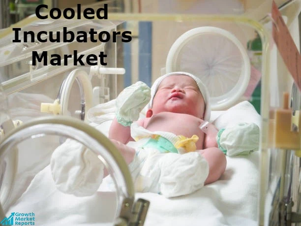 Global Cooled Incubators Market – Growth Market Reports