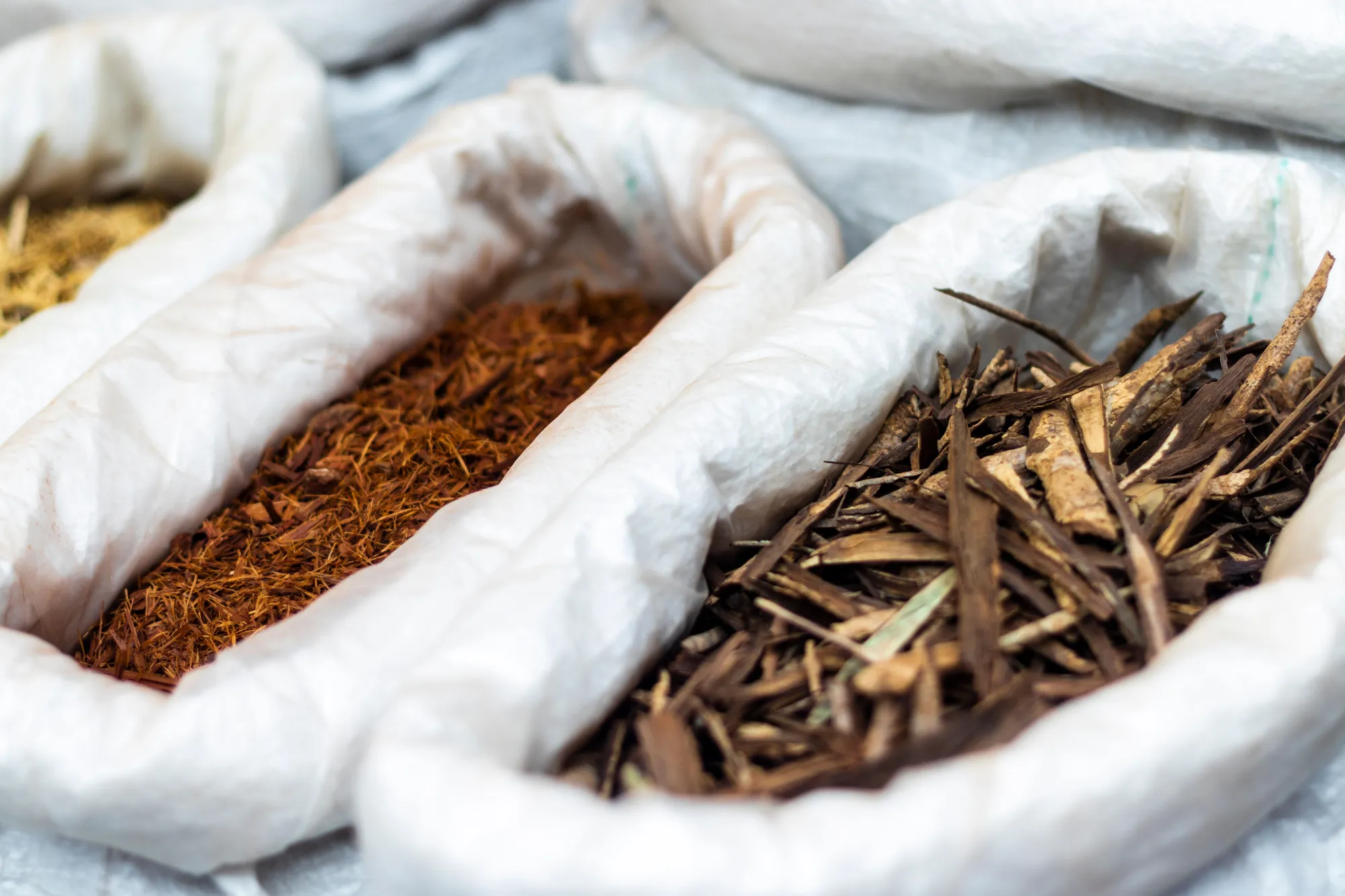 A Beginner’s Guide to Chinese Herbal Medicine Online in California