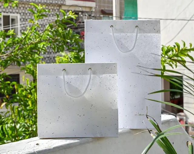 Paper Pharmacy Bags: A Practical Guide to Reliable Prescription Packaging