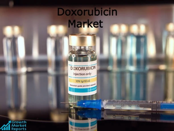 Doxorubicin Market – Growth Market Reports