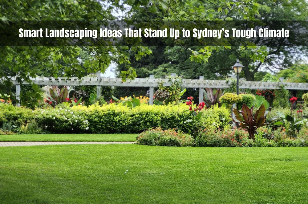 Smart Landscaping Ideas That Stand Up to Sydney’s Tough Climate
