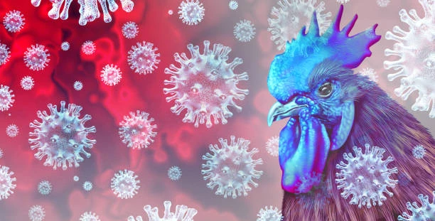 Bird Flu Treatment Market – Growth Market Reports