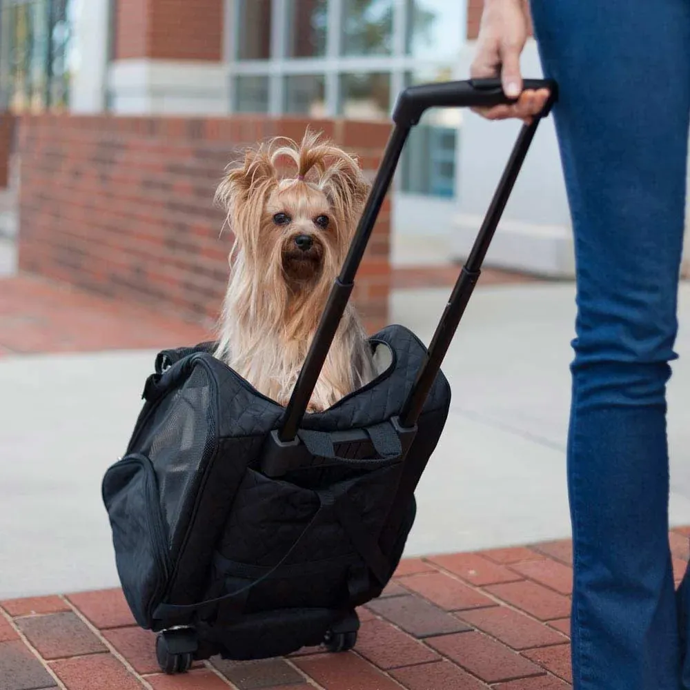 Pet Carrier: The Complete Guide to Safe and Easy Pet Travel