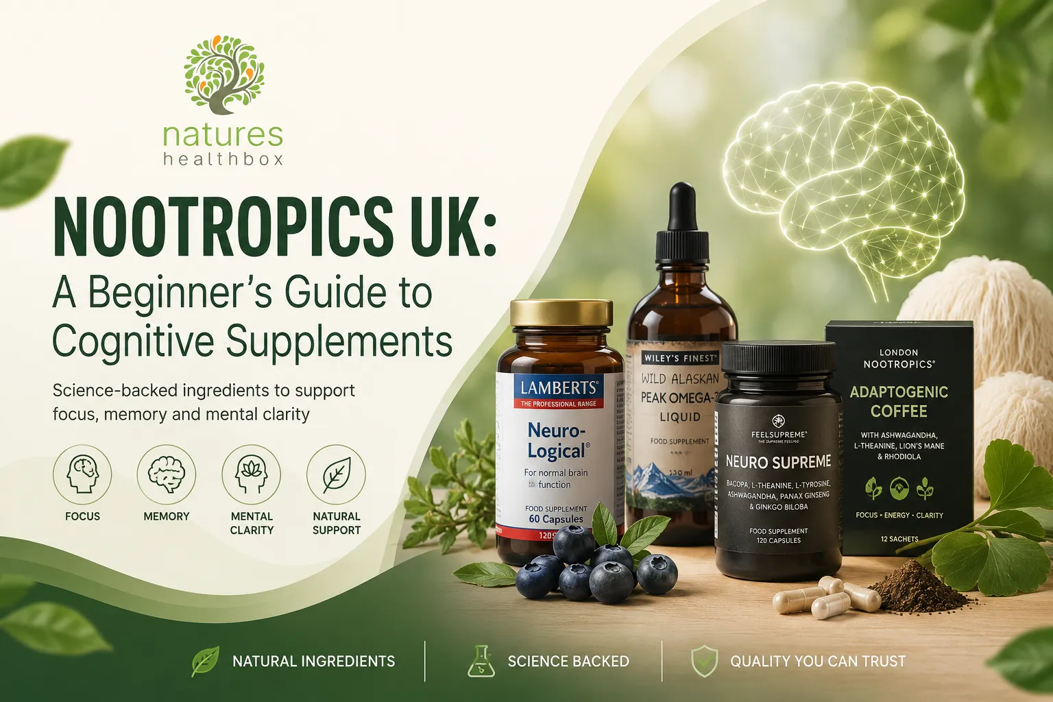 Nootropics UK: A Beginner's Guide to Cognitive Supplements