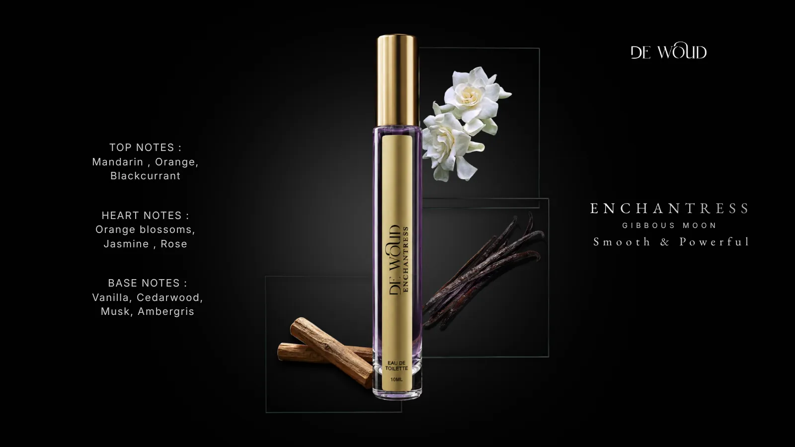 Perfume Discovery Set: Why Try Before You Buy Full Size Perfume