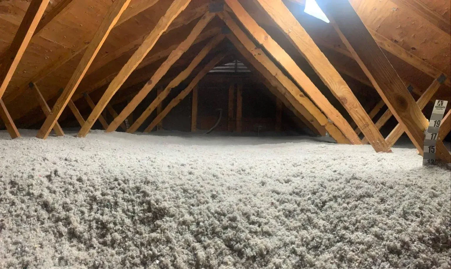 Who Should You Call for Professional Spray Foam Removal Services in Palm Beach County, FL?