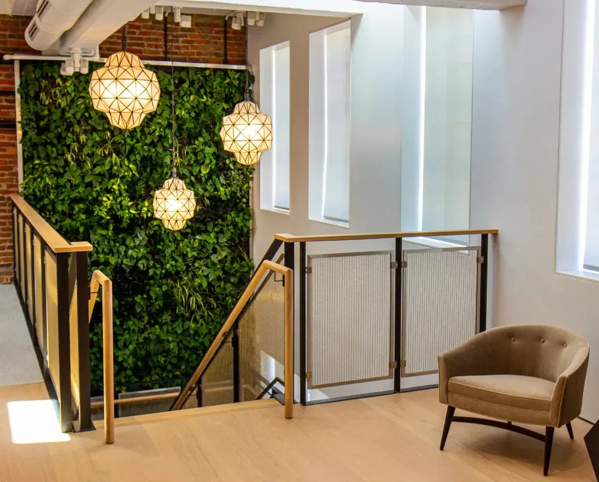 The Complete Guide to Designing a Living Green Wall