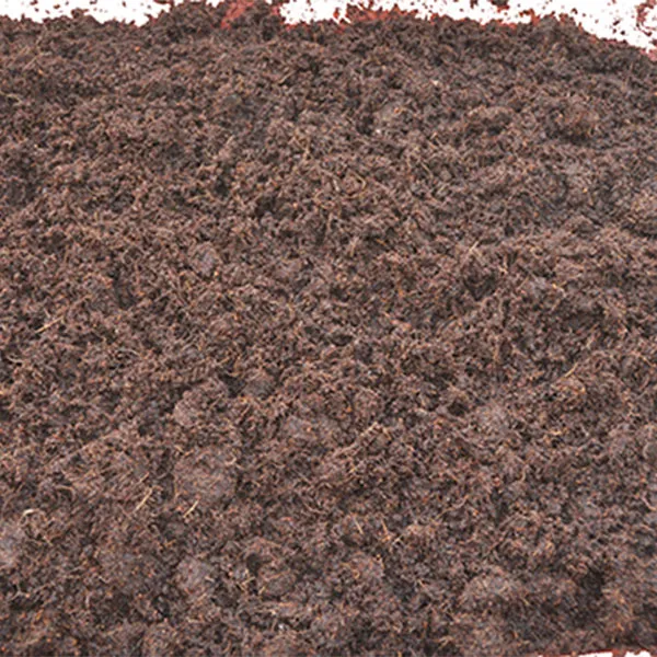 Beyond Peat: The Case for Coir-Based Growing Media in Commercial Horticulture