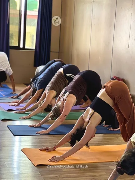 Importance of Yoga and Meditation