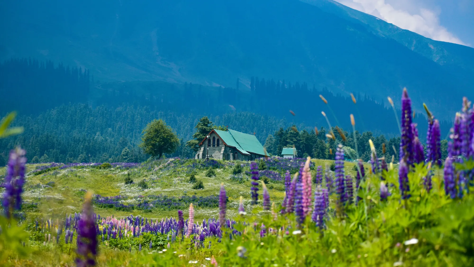 Spiti Valley Tour Package: Everything You Need to Know Before You Go