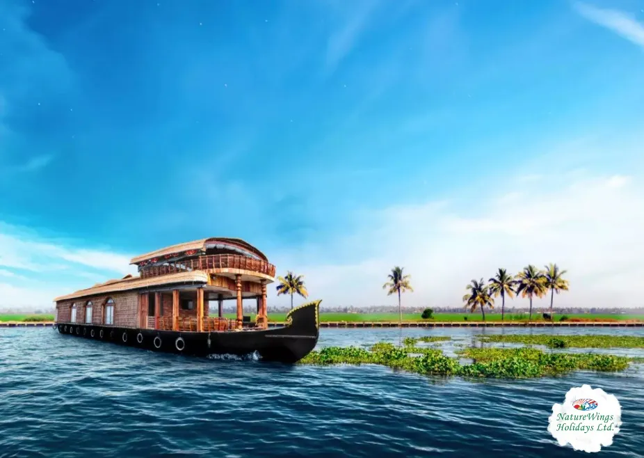 Kerala Tour Packages with Scenic Hill Stations and Tea Gardens