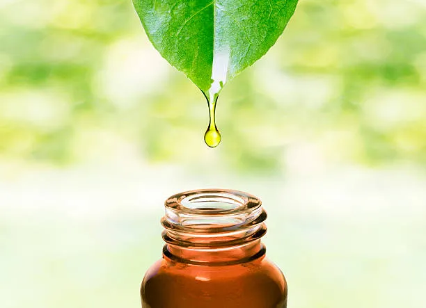 Understanding Homeopathy: Exploring Natural Remedies for Holistic Health