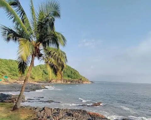 Best Resorts in Dandeli for a Relaxing Trip