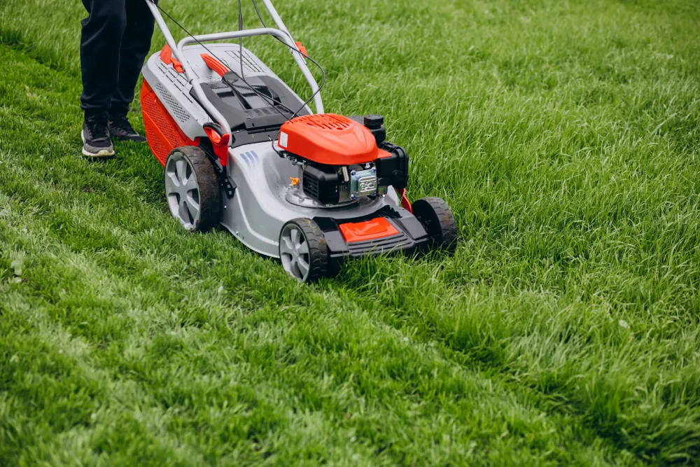 What Does Professional Lawn Care Service Include?