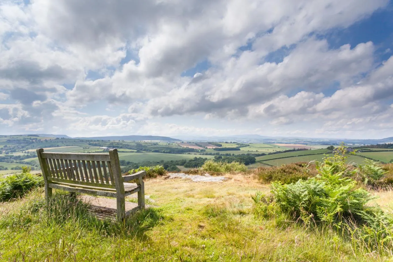 How Evidence-Based Counselling Can Improve Your Mental Well-Being
