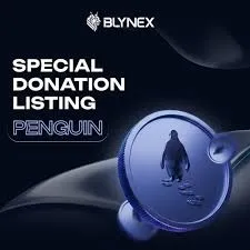 A New Approach to Hybrid Futures Trading with Blynex