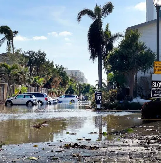 How Market Volatility Is Changing How Floridians Search for a Public Adjuster in Tampa