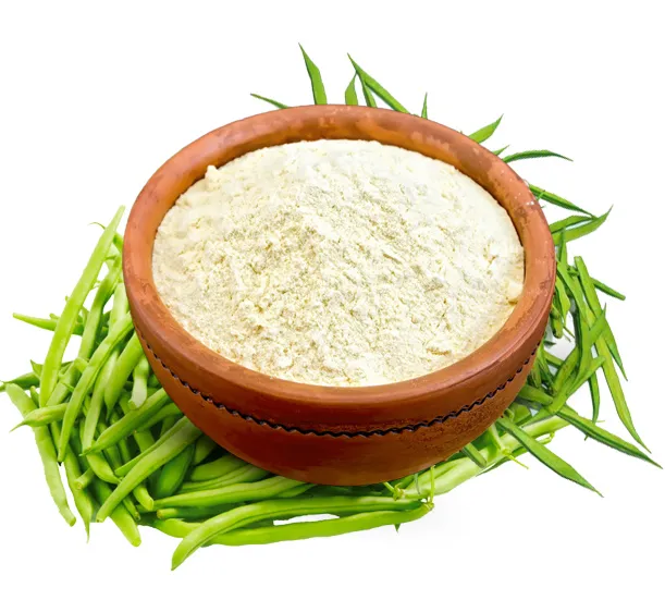 Guar Gum Powder in Different Industries: A Complete Guide