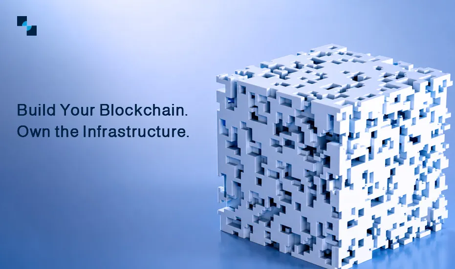 How to Build a Custom Blockchain from Scratch | Cost, Tech & Process