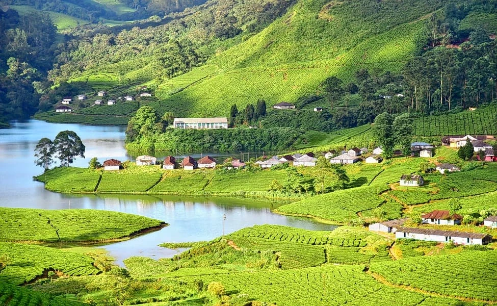 Explore the Mysterious Munnar  in the Way Your Heart Does