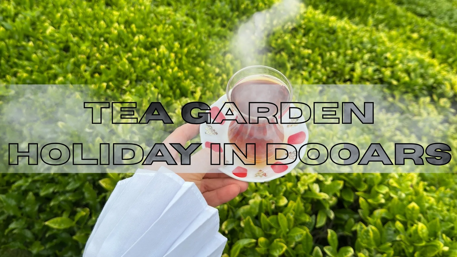 Why Tea Tastes Different by Region | Tea Terroir in India