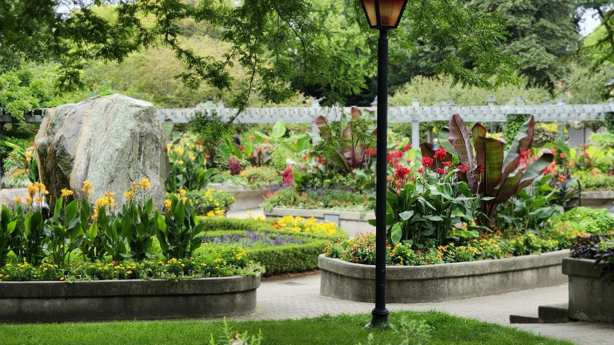 How to Choose the Best Drought-Tolerant Plants for Tucson Landscapes