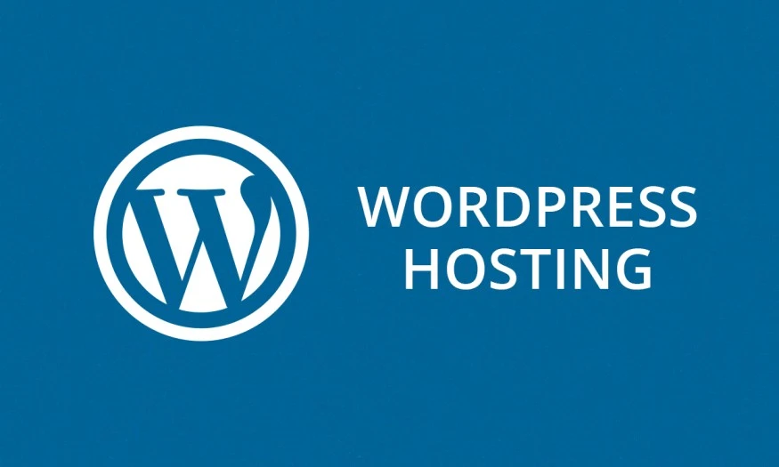 How Do Obtain Effectively and Optimized WordPress Hosting?