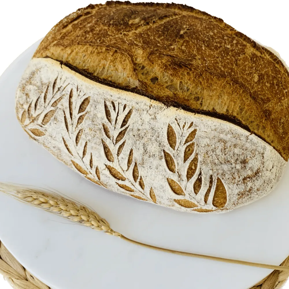 Sourdough Bread Class Gold Coast: What to Expect