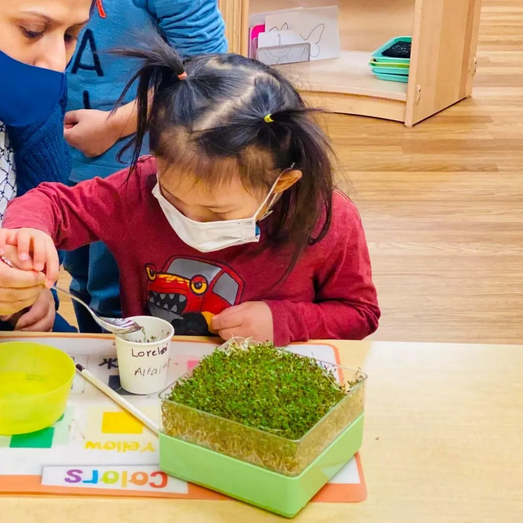 Early Childhood Montessori Curriculum Program