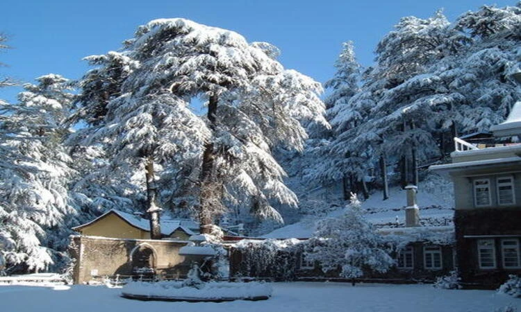 Manali: A Place you fall in Love with Your Loved One’s