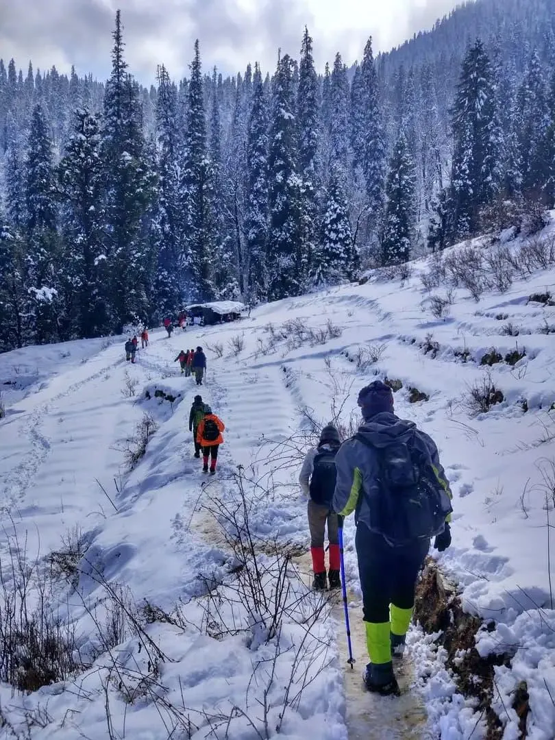 Kedarkantha Trek: Complete Guide to Distance, Route, Snow, Cost and Difficulty