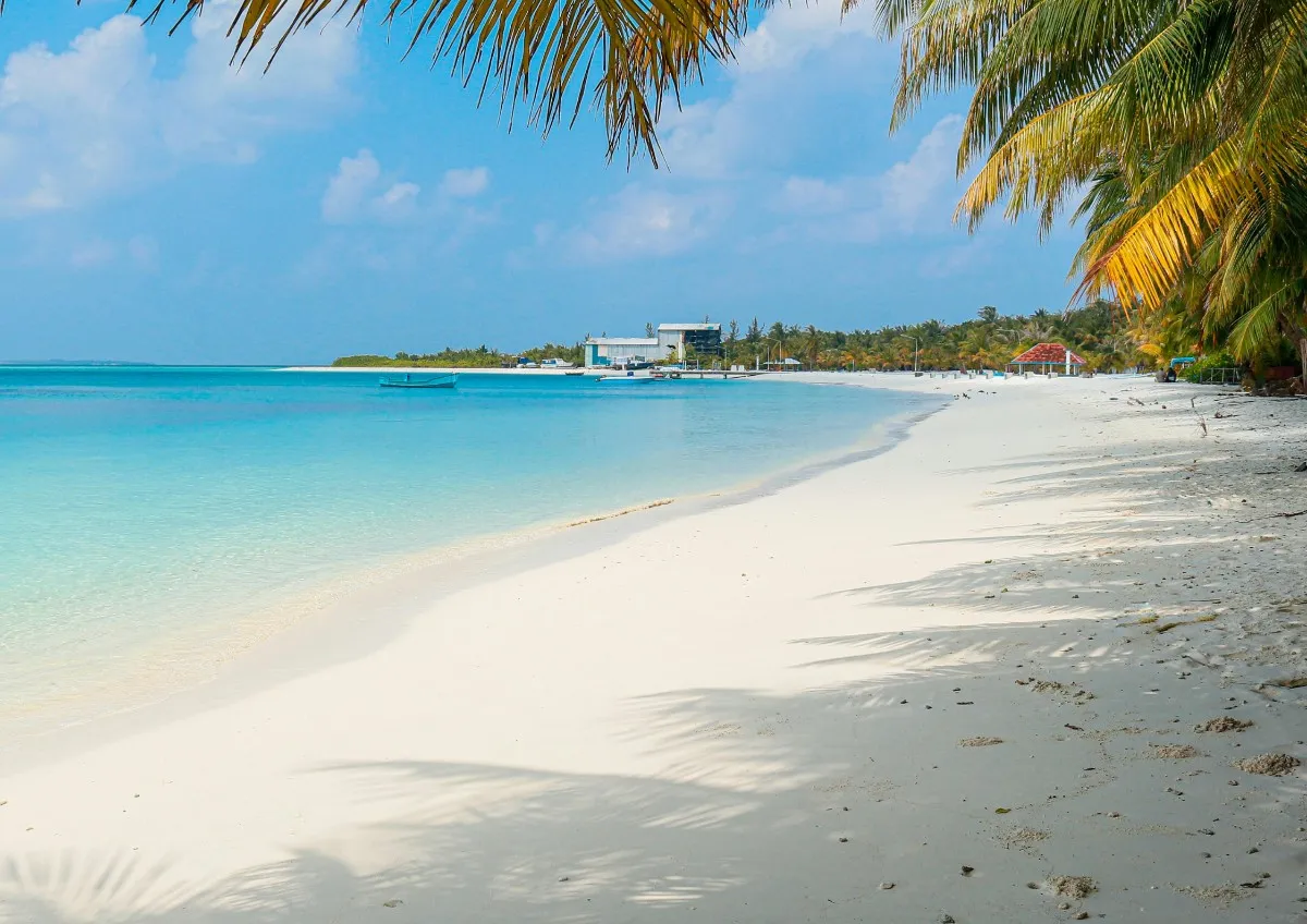 What Are the Best Excursions for Families in Punta Cana?