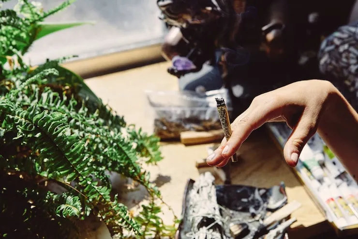 Es Legal el Cannabis en Madrid: Todo lo Esencial en un Solo Lugar