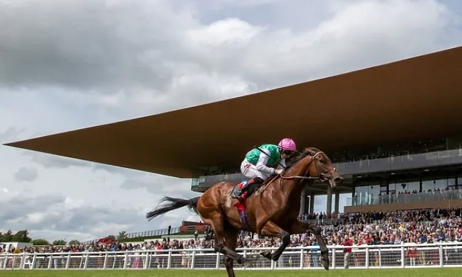 How Can Horse Racing Betting Strategies Help You Analyse Races More Effectively?