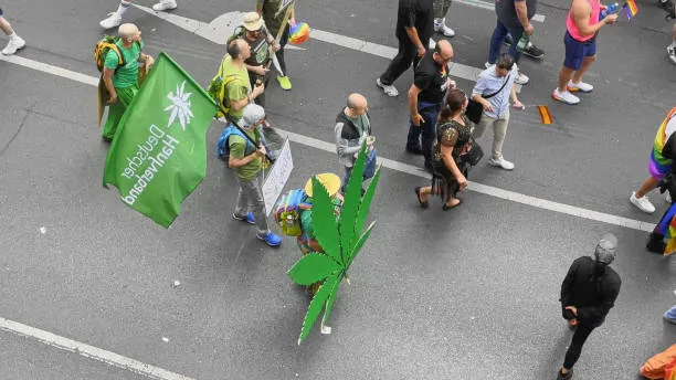 ¿Cuáles son los mitos y realidades sobre la legalidad del cannabis en Madrid?