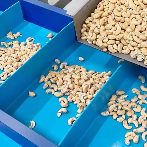 Cleated Conveyor Belt Maintenance: Tips for Peak Performance!