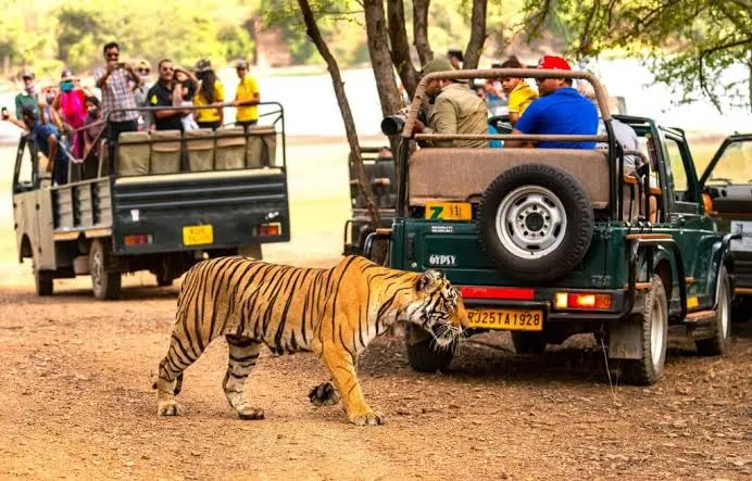Can You Visit Ranthambore During Monsoon? Guide