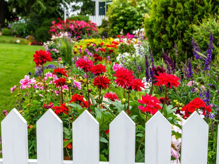 What Should You Consider Before Adding a Decorative Fence to Your Front Yard?