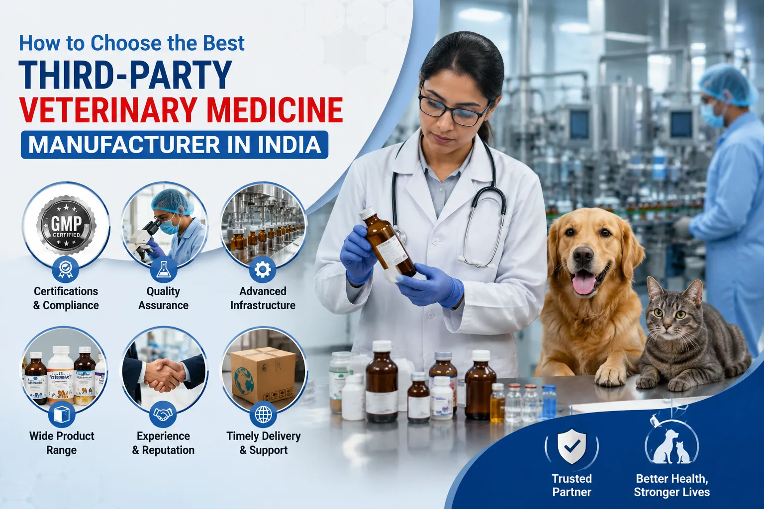 How to Choose the Best Third-Party Veterinary Medicine Manufacturer in India