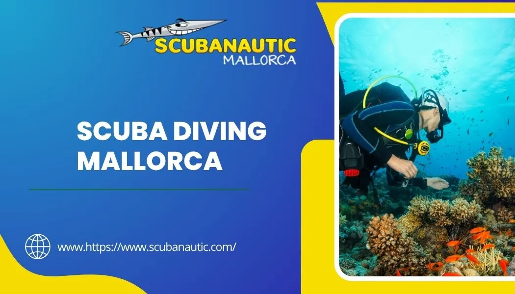 First Time Scuba Diving in Mallorca? Everything You Need to Know