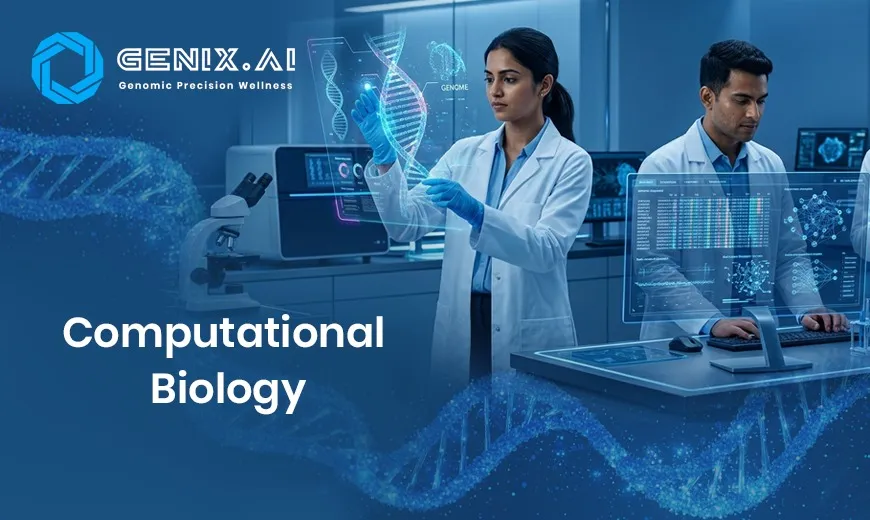 Computational Biology vs Bioinformatics: Key Differences Explained