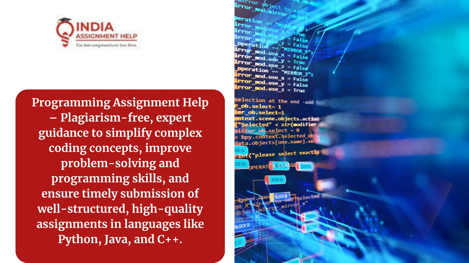 Programming Assignment Help for College Students