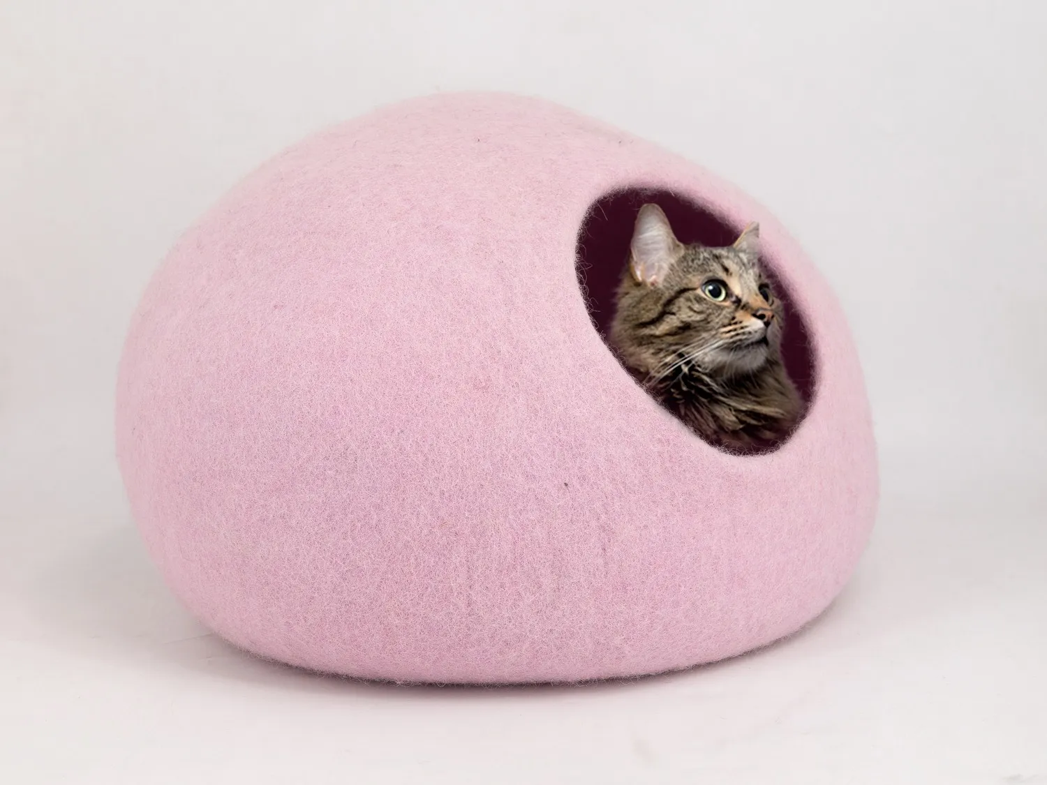 Felted Wool Pet Beds