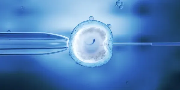 Preparing for Your First Fertility Consultation: What Couples Should Know