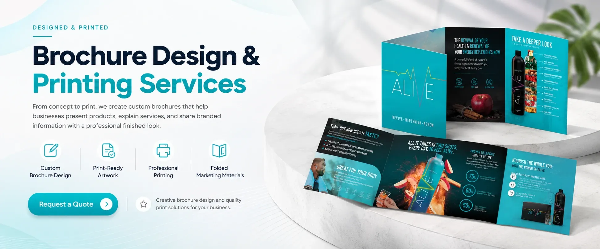 Creative Graphic Design Fort Lauderdale Brands Can Count On