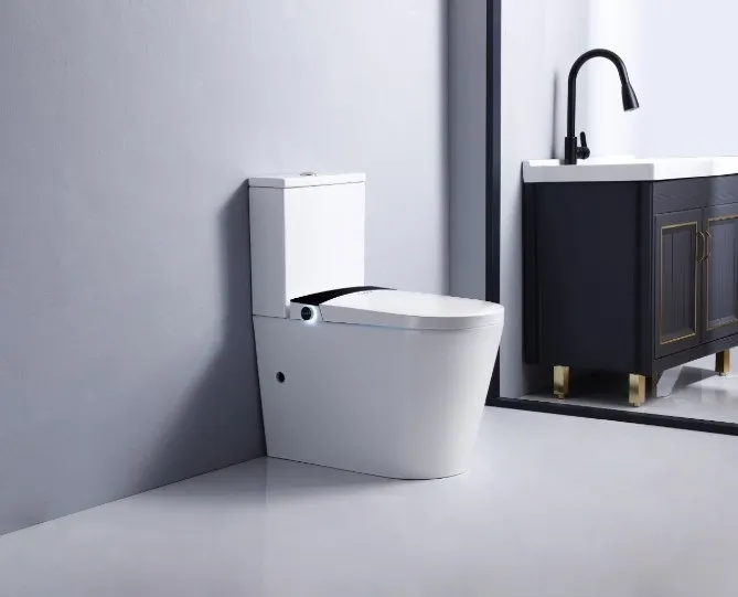 Bidet in Australia: A Complete Guide to Modern Bathroom Comfort